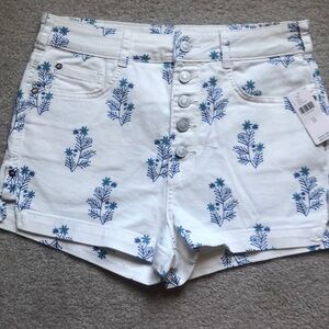 NWT Anthropologie Pilcro Denim Button Fly Shorts 29